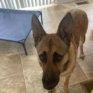 Meet your Posher, Jillian